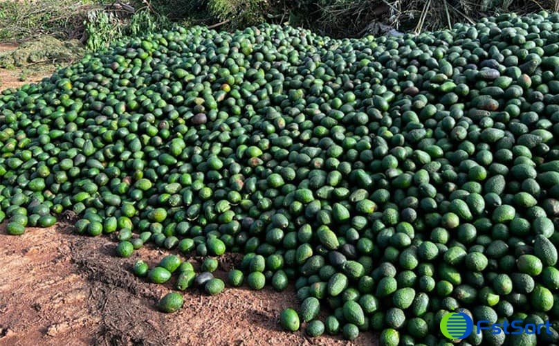 images/1652689346781avocado grader.jpg